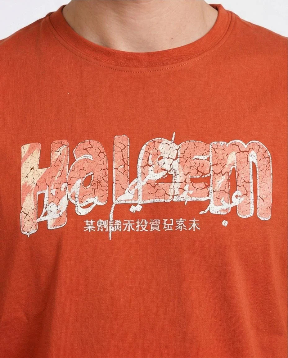 Ravin | Haleem Graphic Oversized T-Shirt in Terracotta - R207067 - Image 3