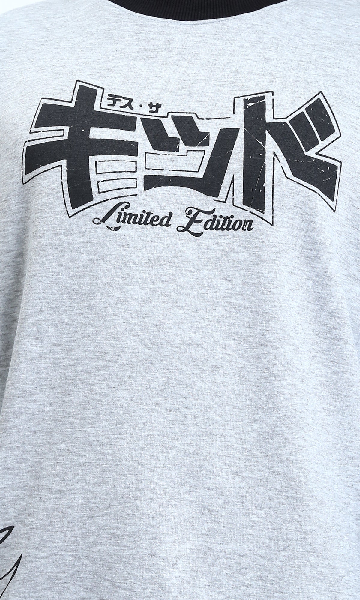 R213577 - Round Neck Winter Printed Sweatshirt - Heather Grey - Image 3