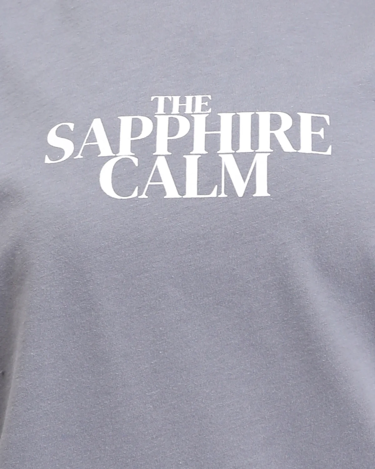 Ravin "The Sapphire Calm" Oversized Concert Graphic T-Shirt in - Grey - R208501 - Image 4