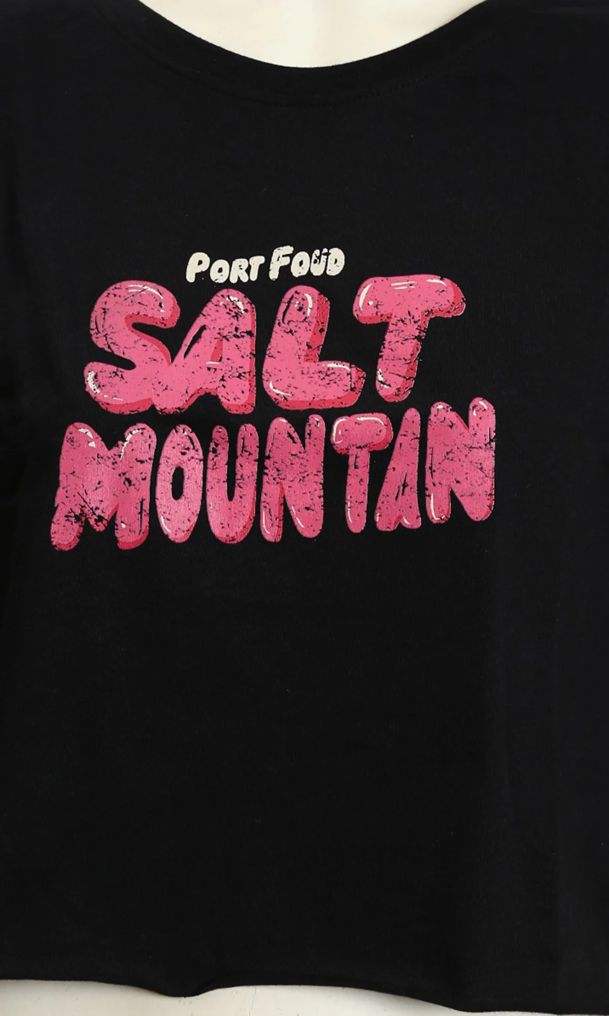 Salt Mountain Cropped Graphic Boxy Tee - Black - R215755 - Image 3